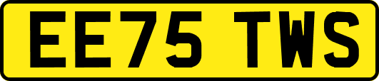 EE75TWS