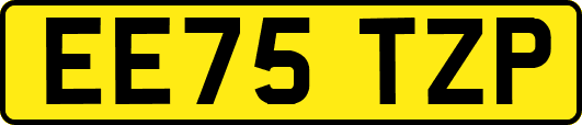 EE75TZP