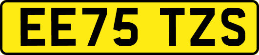EE75TZS