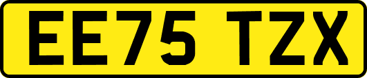 EE75TZX
