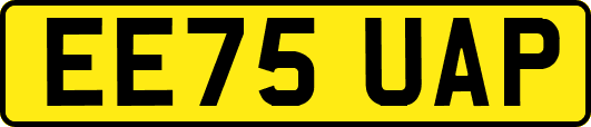 EE75UAP