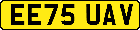 EE75UAV