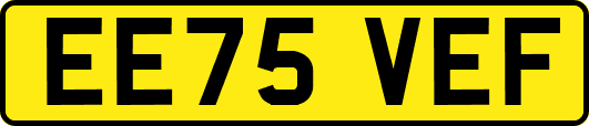 EE75VEF