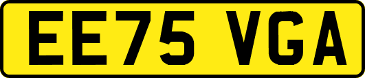 EE75VGA