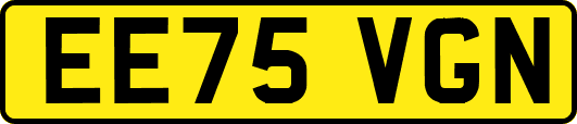 EE75VGN