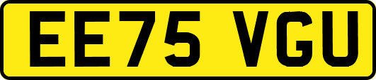 EE75VGU