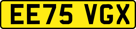 EE75VGX