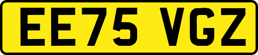 EE75VGZ