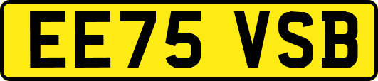 EE75VSB