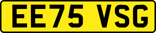 EE75VSG