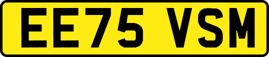EE75VSM
