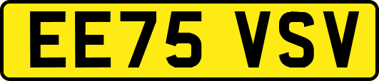 EE75VSV