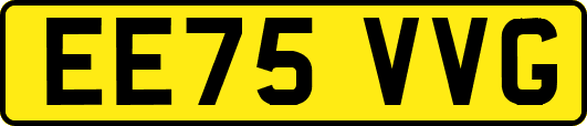 EE75VVG