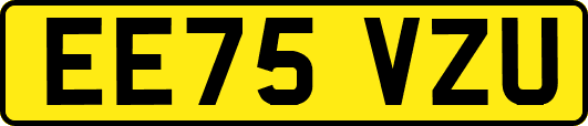 EE75VZU