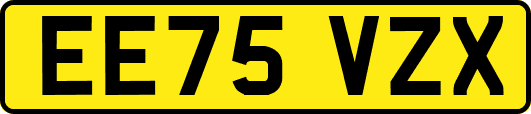 EE75VZX