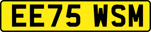 EE75WSM
