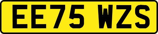 EE75WZS