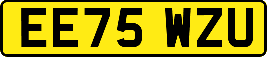 EE75WZU