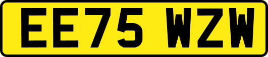 EE75WZW