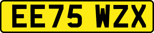 EE75WZX