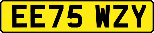EE75WZY
