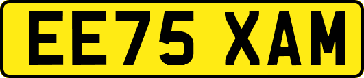 EE75XAM