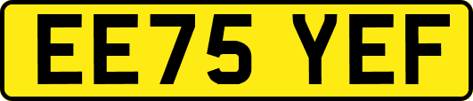EE75YEF