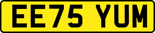 EE75YUM