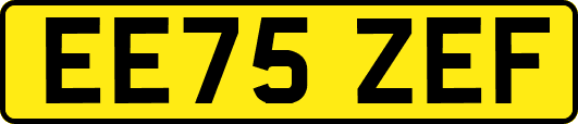 EE75ZEF