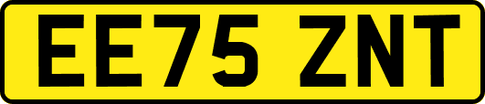 EE75ZNT