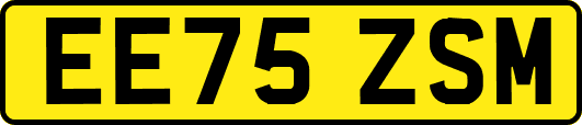 EE75ZSM
