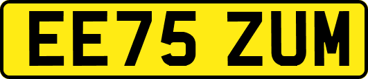 EE75ZUM