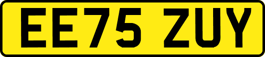 EE75ZUY