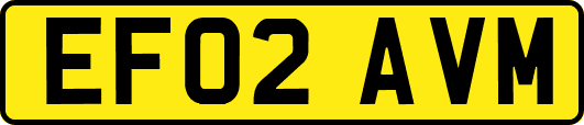 EF02AVM