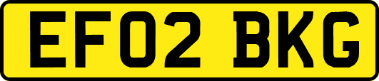 EF02BKG