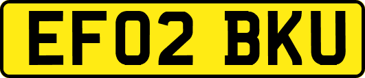 EF02BKU