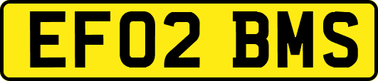 EF02BMS
