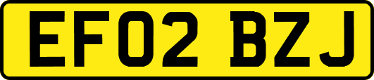 EF02BZJ