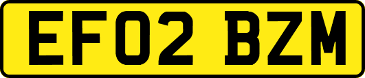 EF02BZM