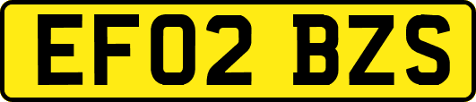 EF02BZS