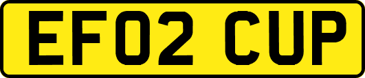 EF02CUP