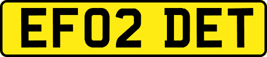 EF02DET