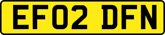 EF02DFN