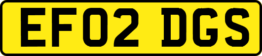 EF02DGS