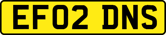EF02DNS