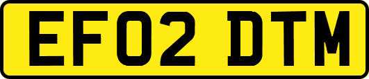 EF02DTM