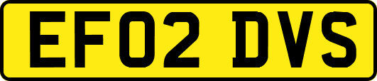 EF02DVS