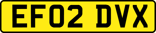 EF02DVX