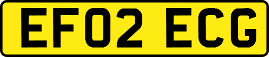 EF02ECG