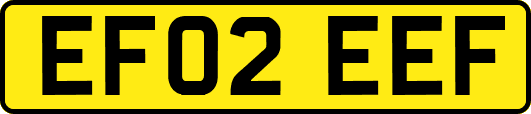 EF02EEF